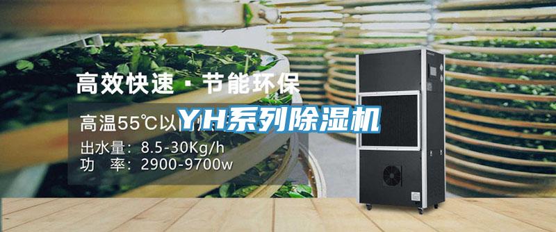 YH係列91看片软件大全