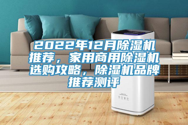 2022年12月91看片软件大全推薦，家用商用91看片软件大全選購攻略，91看片软件大全品牌推薦測評