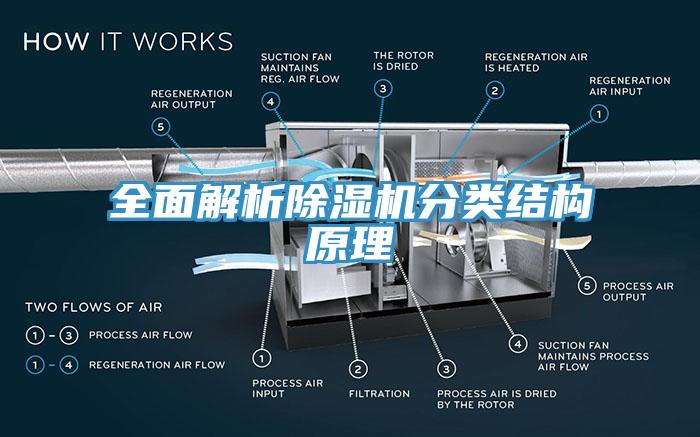 全麵解析91看片软件大全分類結構原理