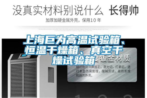 上海巨為高溫試驗箱、恒溫幹燥箱、真空幹燥試驗箱