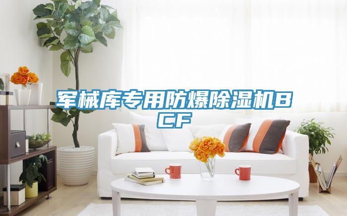 軍械庫專用防爆91看片软件大全BCF