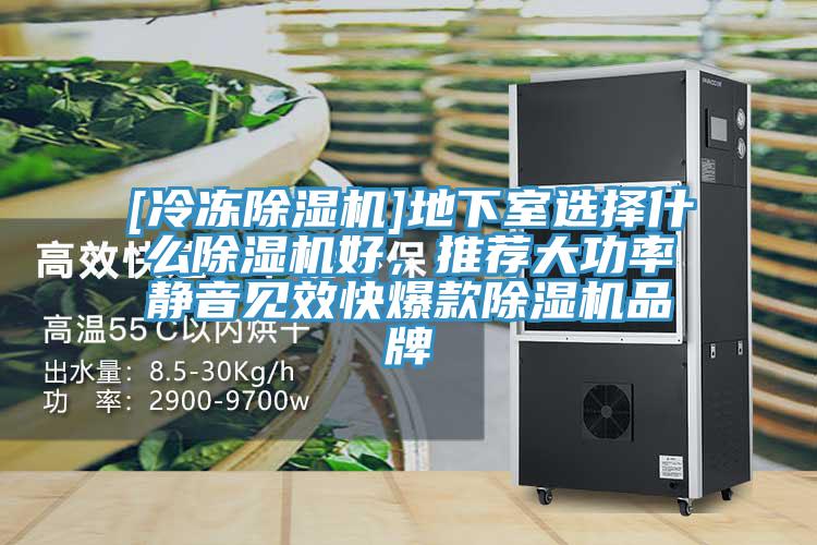 [冷凍91看片软件大全]地下室選擇什麽91看片软件大全好，推薦大功率靜音見效快爆款91看片软件大全品牌