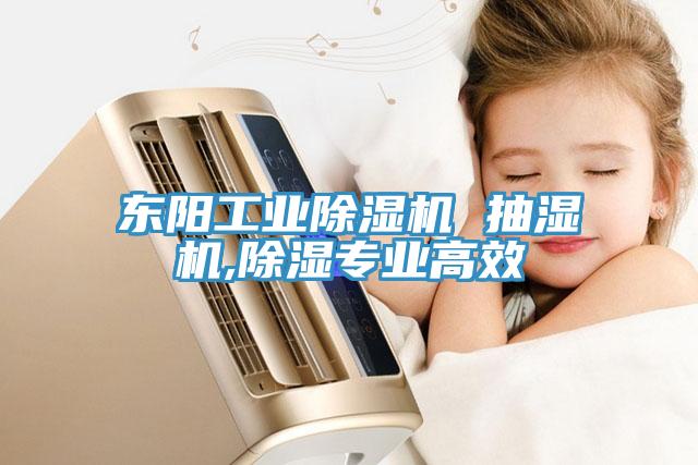 東陽工業91看片软件大全 抽濕機,除濕專業高效