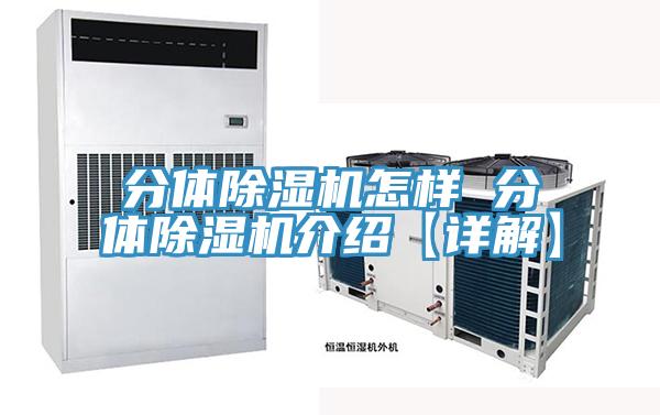 分體91看片软件大全怎樣 分體91看片软件大全介紹【詳解】
