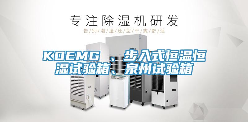 KOEMG 、步入式恒溫恒濕試驗箱、泉州試驗箱