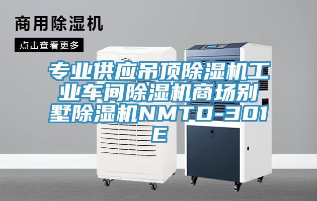 專業供應吊頂91看片软件大全工業車間91看片软件大全商場別墅91看片软件大全NMTD-301E