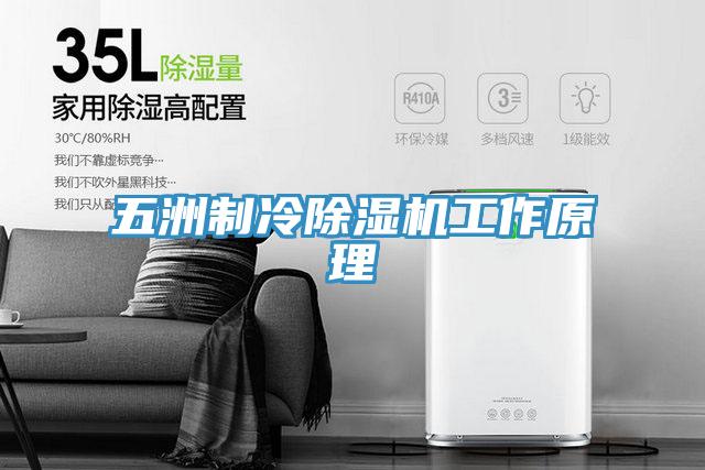 五洲製冷91看片软件大全工作原理