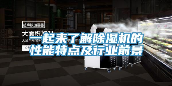 一起來了解91看片软件大全的性能特點及行業前景