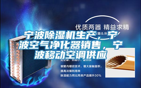 寧波91看片软件大全生產，寧波空氣淨化器銷售，寧波移動空調供應