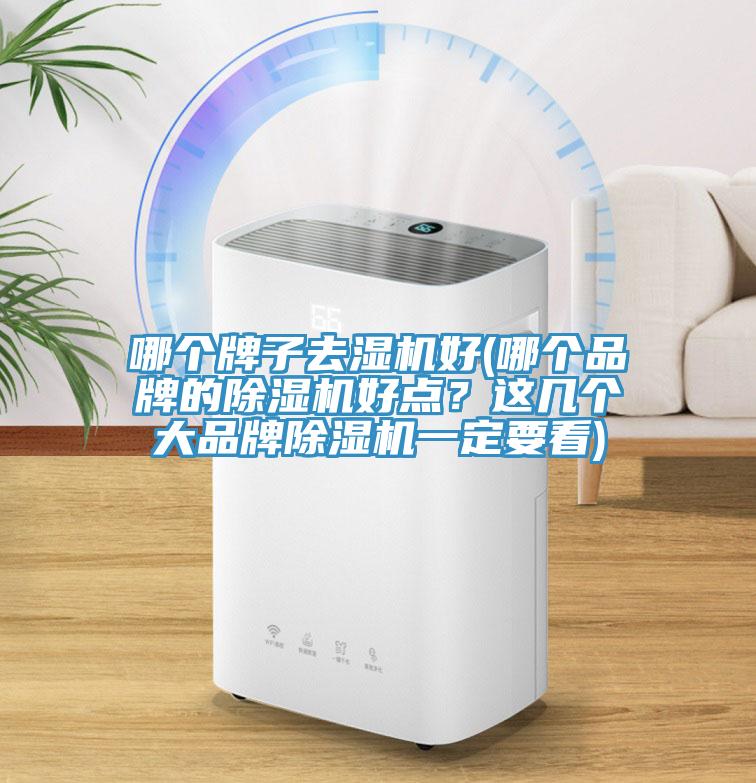 哪個牌子去濕機好(哪個品牌的91看片软件大全好點？這幾個大品牌91看片软件大全一定要看)
