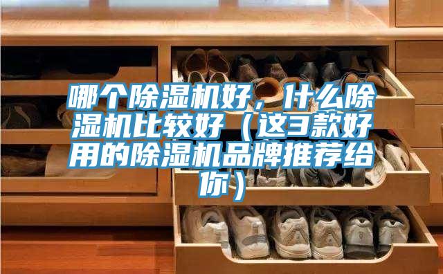 哪個91看片软件大全好，什麽91看片软件大全比較好（這3款好用的91看片软件大全品牌推薦給你）
