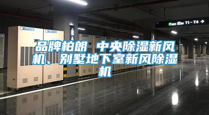 品牌柏朗 中央除濕新風機、別墅地下室新風91看片软件大全