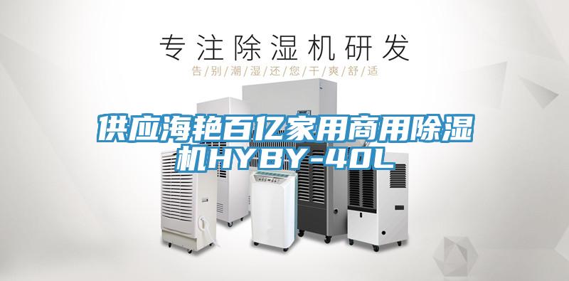 供應海豔百億家用商用91看片软件大全HYBY-40L