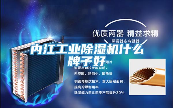 內江工業91看片软件大全什麽牌子好
