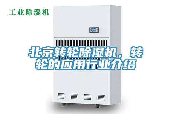 北京轉輪91看片软件大全，轉輪的應用行業介紹