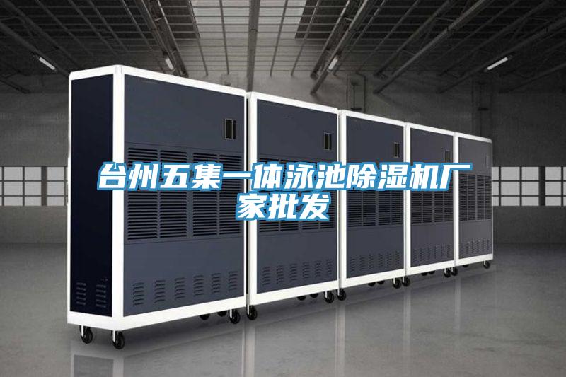 台州五集一體泳池91看片软件大全廠家批發