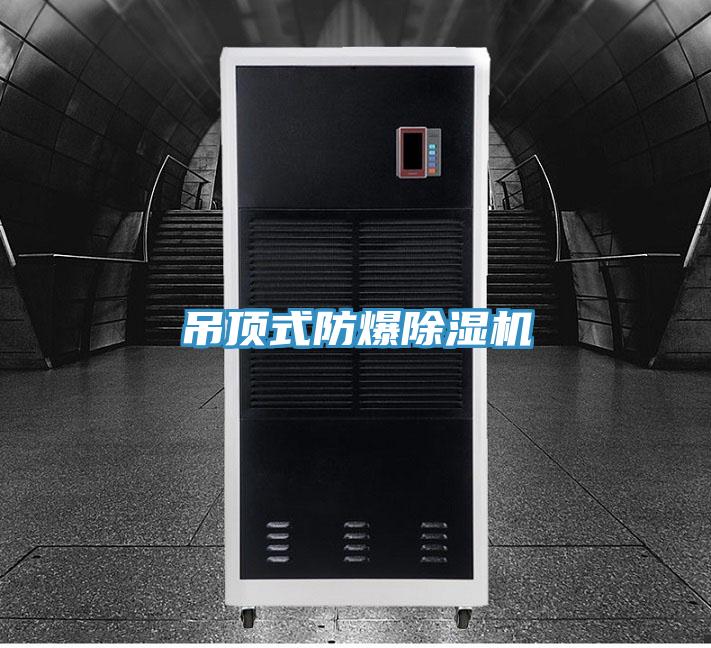 吊頂式防爆91看片软件大全