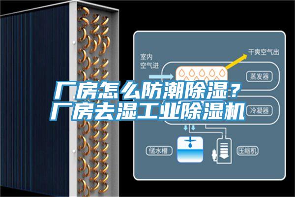 廠房怎麽防潮除濕？廠房去濕工業91看片软件大全