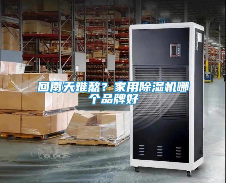 回南天難熬？家用91看片软件大全哪個品牌好