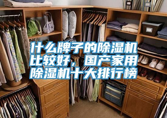 什麽牌子的91看片软件大全比較好，國產家用91看片软件大全十大排行榜