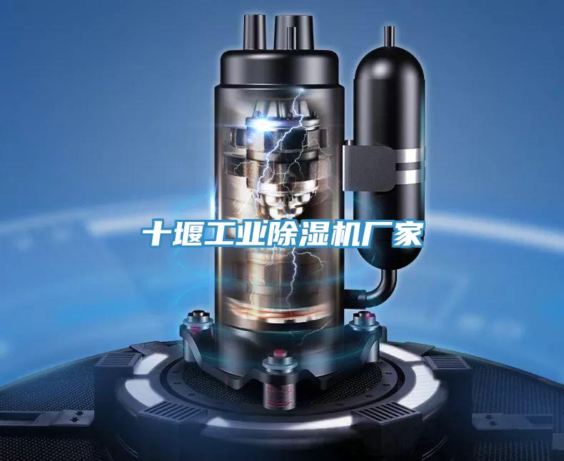 十堰工業91看片软件大全廠家