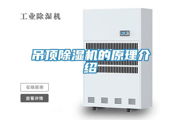 吊頂91看片软件大全的原理介紹