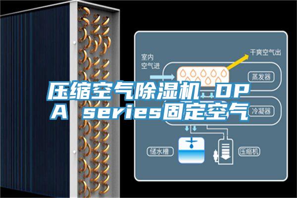 壓縮空氣91看片软件大全 DPA series固定空氣