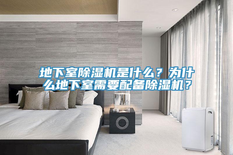 地下室91看片软件大全是什麽？為什麽地下室需要配備91看片软件大全？