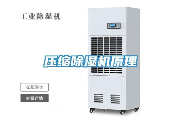 壓縮91看片软件大全原理