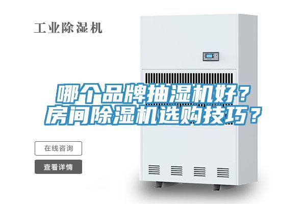 哪個品牌抽濕機好？房間91看片软件大全選購技巧？