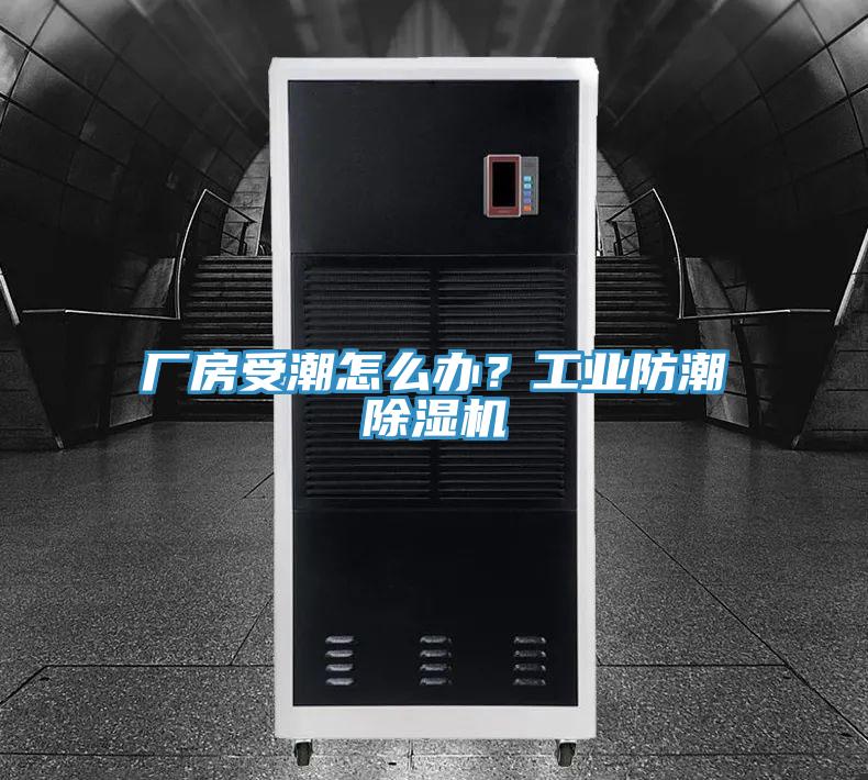 廠房受潮怎麽辦？工業防潮91看片软件大全