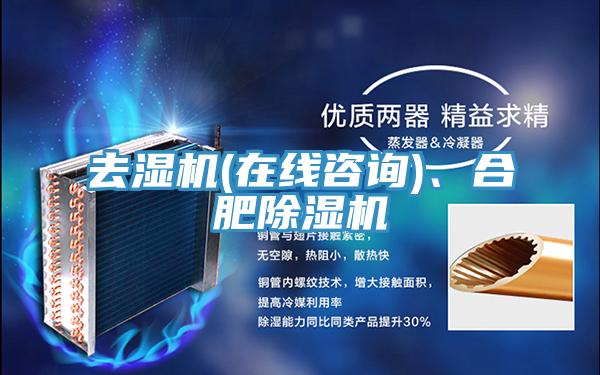 去濕機(在線谘詢)、合肥91看片软件大全
