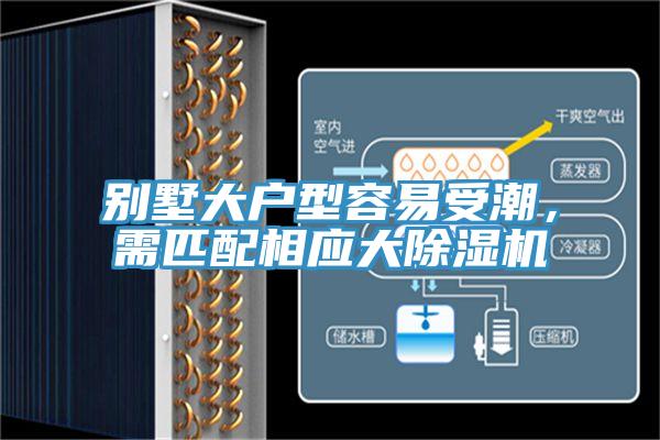 別墅大戶型容易受潮，需匹配相應大91看片软件大全