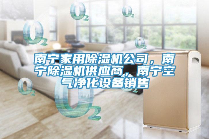 南寧家用91看片软件大全公司，南寧91看片软件大全供應商，南寧空氣淨化設備銷售