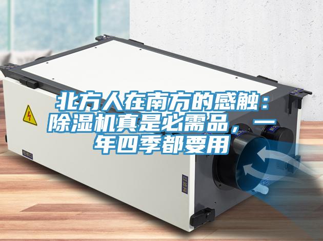北方人在南方的感觸：91看片软件大全真是必需品，一年四季都要用