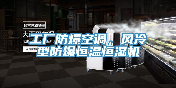 工廠防爆空調，風冷型防爆恒溫恒濕機