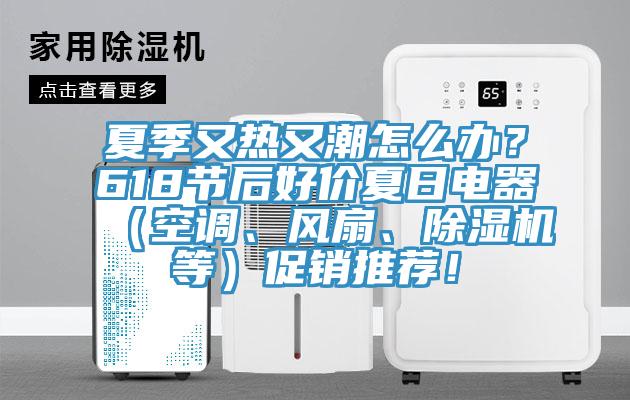 夏季又熱又潮怎麽辦？618節後好價夏日電器（空調、風扇、91看片软件大全等）促銷推薦！