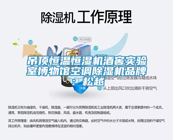 吊頂恒溫恒濕機酒窖實驗室博物館空調91看片软件大全品牌：鬆越