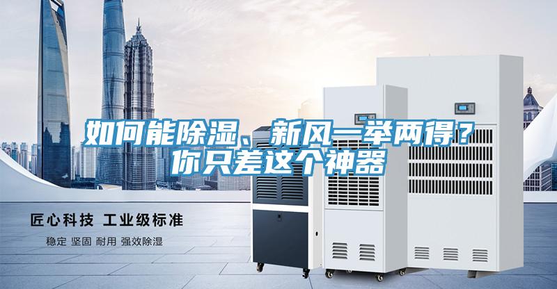 如何能除濕、新風一舉兩得？你隻差這個神器