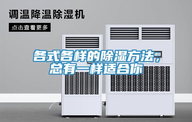 各式各樣的除濕方法，總有一樣適合你