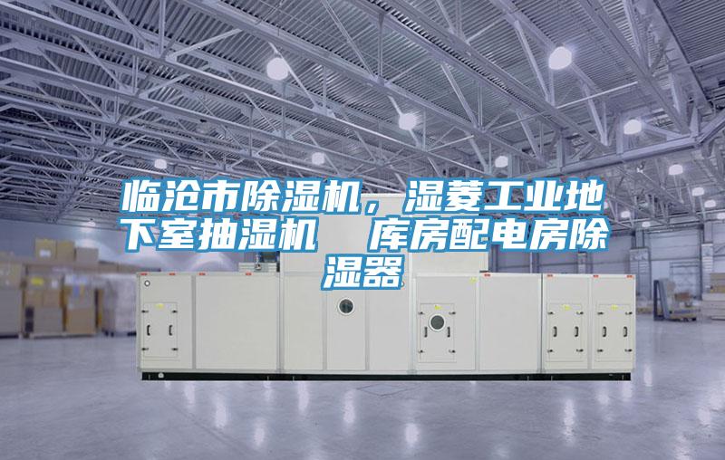 臨滄市91看片软件大全，濕菱工業地下室抽濕機  庫房配電房除濕器