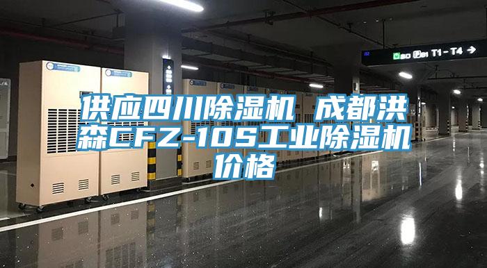 供應四川91看片软件大全 成都洪森CFZ-10S工業91看片软件大全價格
