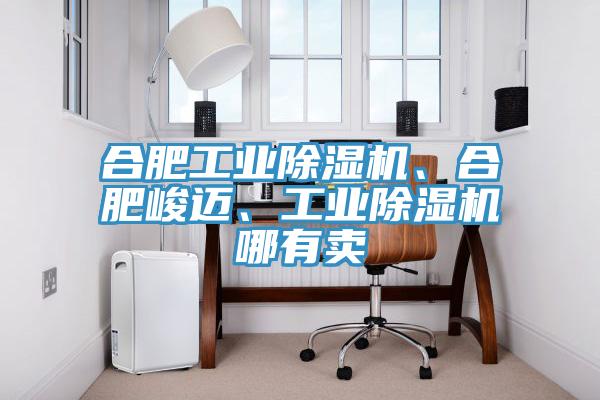 合肥工業91看片软件大全、合肥峻邁、工業91看片软件大全哪有賣