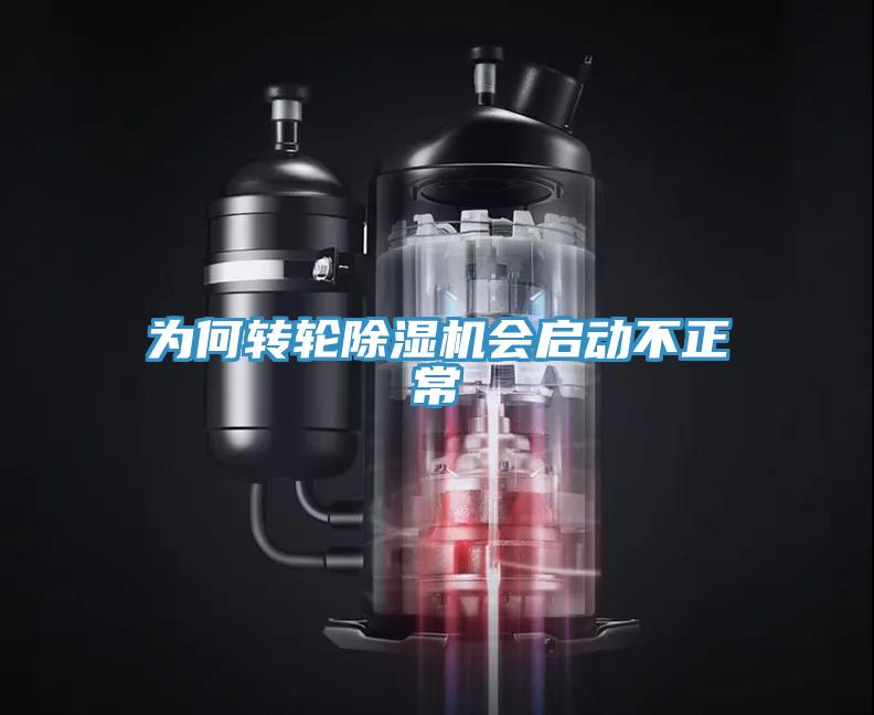 為何轉輪91看片软件大全會啟動不正常