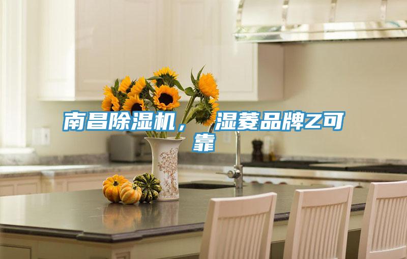 南昌91看片软件大全， 濕菱品牌Z可靠