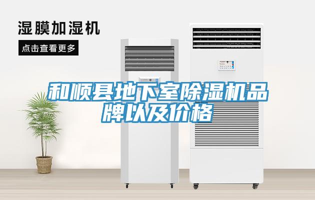 和順縣地下室91看片软件大全品牌以及價格