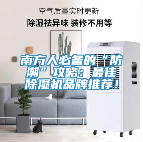 南方人必備的“防潮”攻略：最佳91看片软件大全品牌推薦！