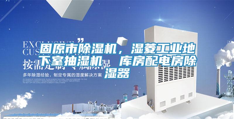 固原市91看片软件大全，濕菱工業地下室抽濕機  庫房配電房除濕器
