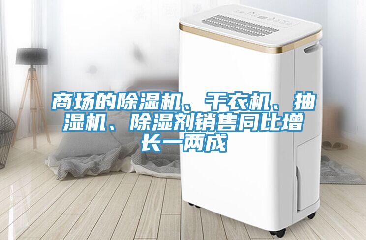 商場的91看片软件大全、幹衣機、抽濕機、除濕劑銷售同比增長一兩成