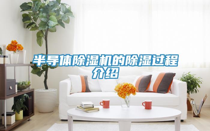 半導體91看片软件大全的除濕過程介紹